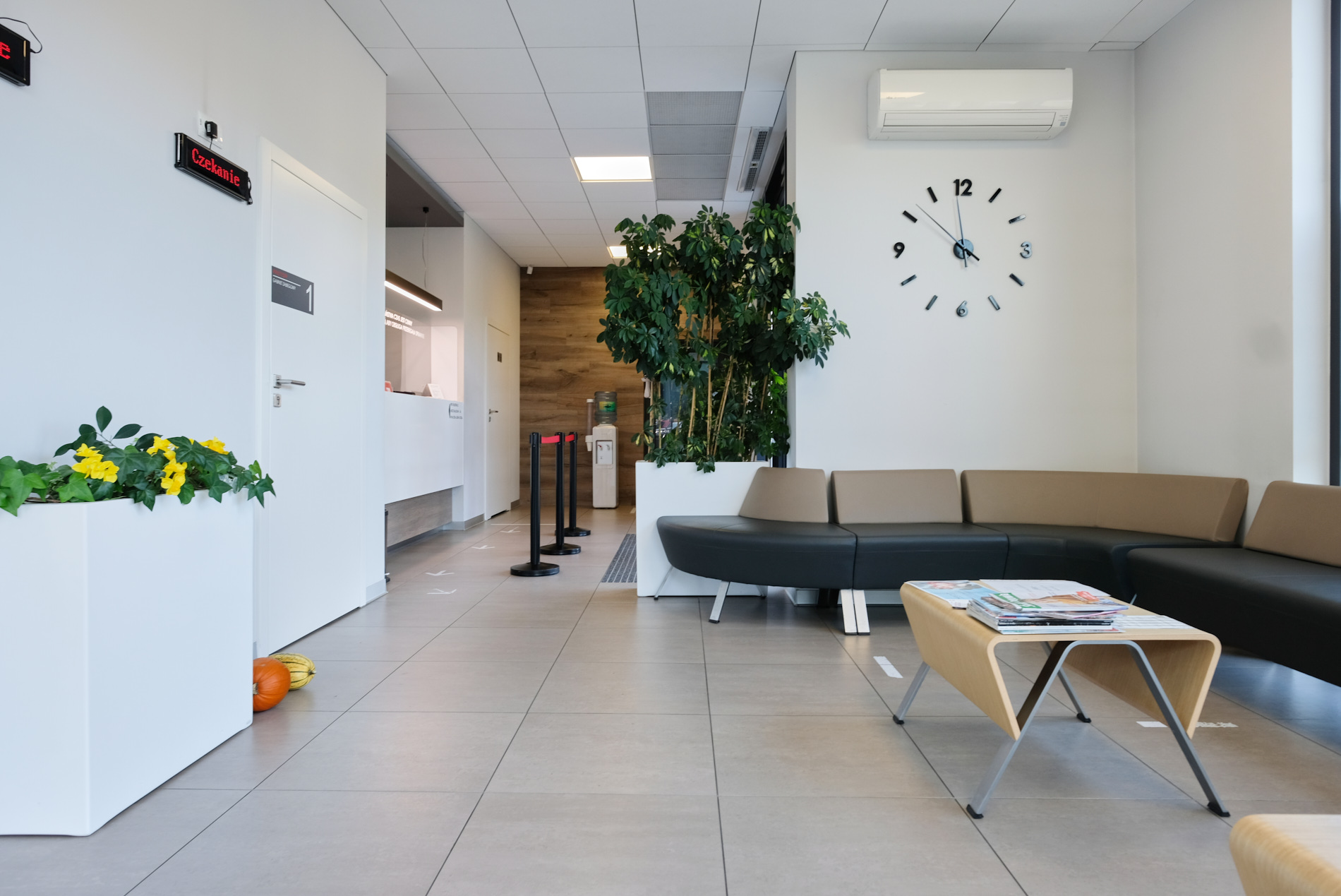 Poczekalnia Laboratorium Medycznego FACTOR